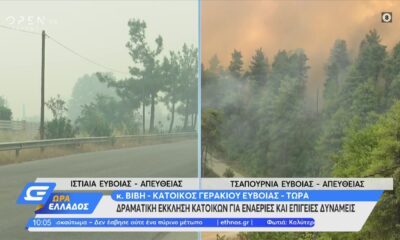 Δραματική έκκληση για πυροσβεστικές δυνάμεις στην Εύβοια! (vid)